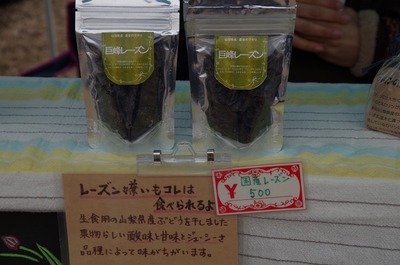 s-IMGP2521