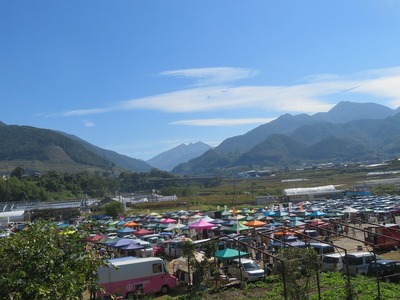 ぶどう祭りの次の朝s-IMG_3864