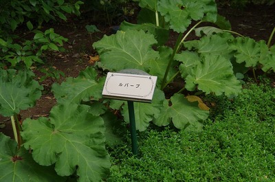 あs-IMGP4866