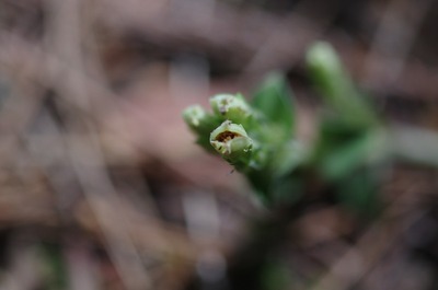 s-IMGP4770