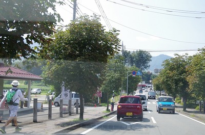 s-IMGP6446
