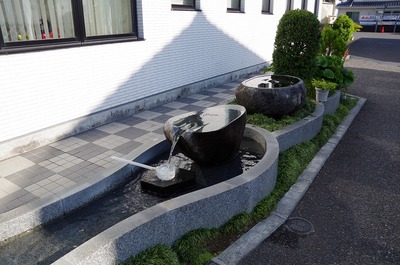 s-IMGP5484