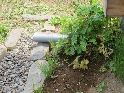 ¥«¥á¥é¥Þ¥óss-IMG_8327