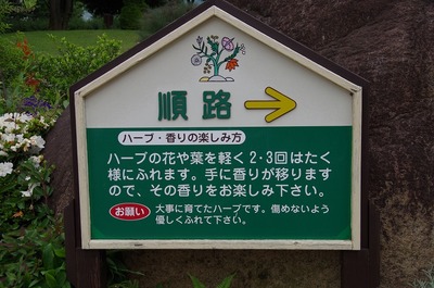 順路s-IMGP4879