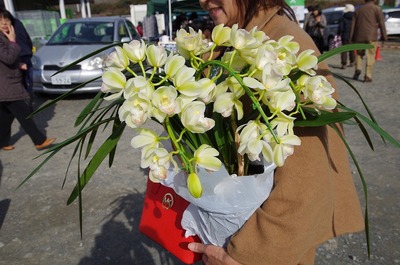 ¤«s-IMGP0420