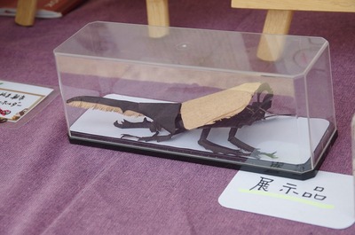 かs-IMGP7728