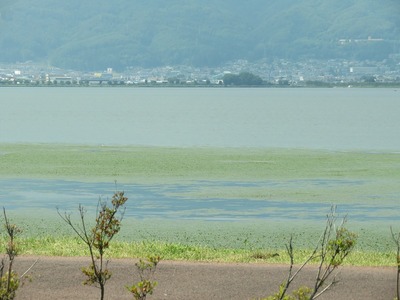 ¿Ûˬ¸Ð170623s-IMG_8187