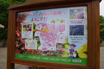 あs-IMGP4833