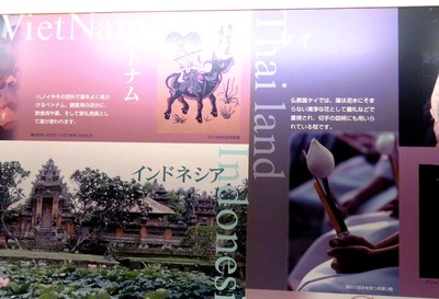 世界の蓮の文化誌IIMG_3226
