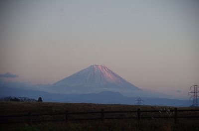 s-IMGP8939