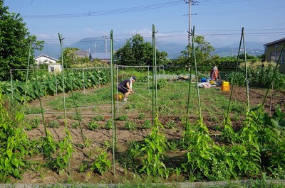 あs-IMGP5983