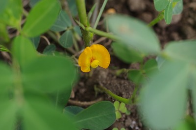 s-IMGP4863