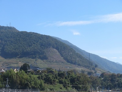 ぶどう祭りの次の朝ss-IMG_3866