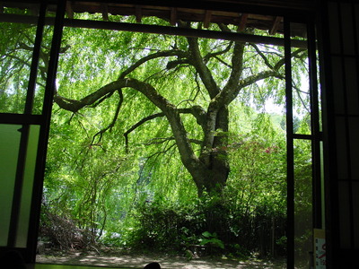 070527makioka 070527DSC00184