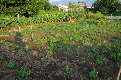 あs-IMGP5957