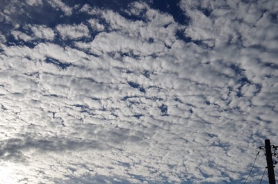 雲181101s-IMGP8108