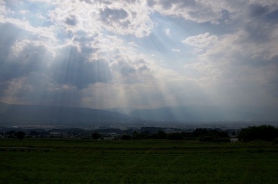 ¾¾ËܤØ170623s-IMGP6290