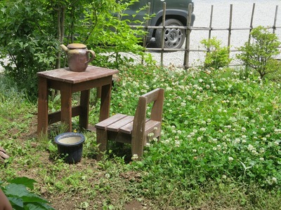 ¥«¥á¥é¥Þ¥óss-IMG_8321