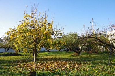 s-IMGP8661