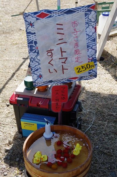 3IMGP3503