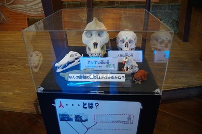 ¤«s-IMGP6634