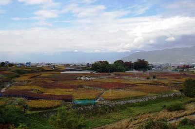 s-IMGP8218