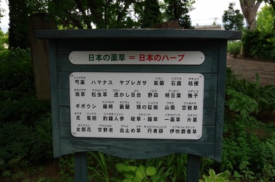 あs-IMGP4841