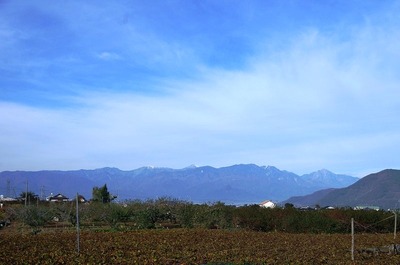 s-IMGP8031
