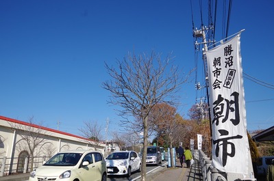IMGP0157