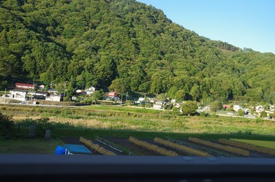 s-IMGP7418