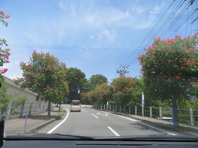 あs-IMG_2424