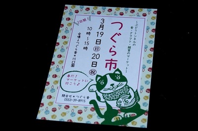 3IMGP3506