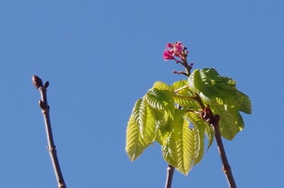 IMGP0162