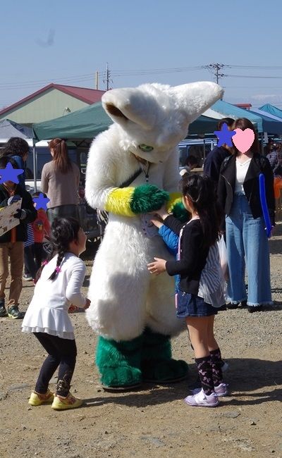 IMGP2589
