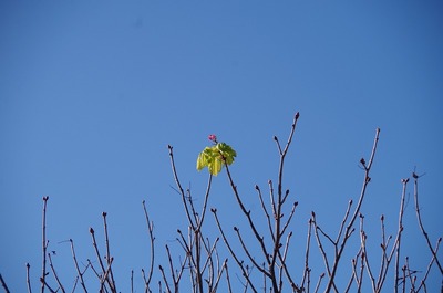 あs-IMGP0162