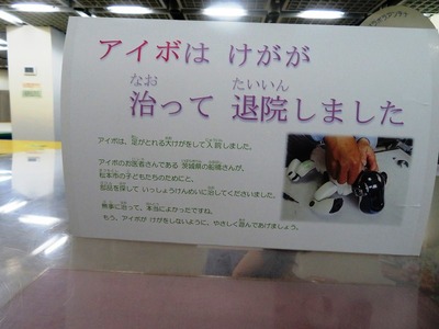¥¢¥¤¥Üs-IMG_8398