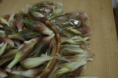 ¤ªs-IMGP7013