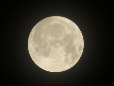 十五夜180924s-IMG_3640