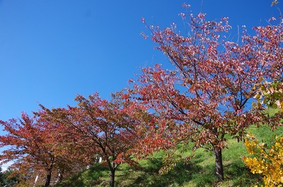 フs-IMGP8044