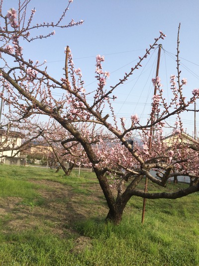 789EBA86-78AA-418C-BCBA-1B619FF2A3E4