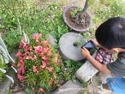 ¥«¥á¥é¥Þ¥ós-IMG_1731