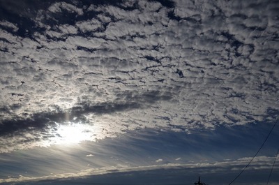 秋11月1日の朝s-IMGP8110