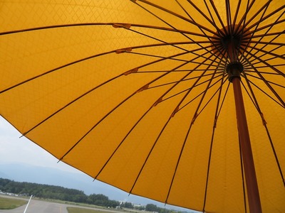 ¾¾ËÜs-IMG_8260