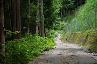 ¥ä¥Þ¥¢¥¸¥µ¥¤170713s-IMGP6484