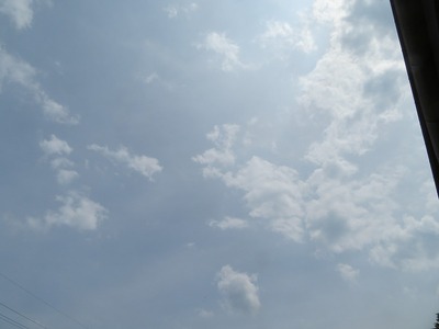 ¥«¥á¥é¥Þ¥óss-IMG_8340
