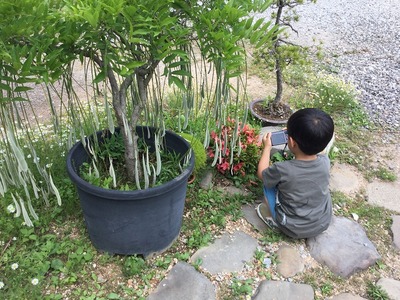 ¥«¥á¥é¥Þ¥ós-IMG_1728