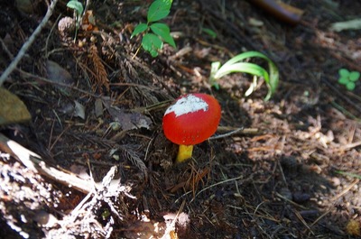 s-IMGP6346