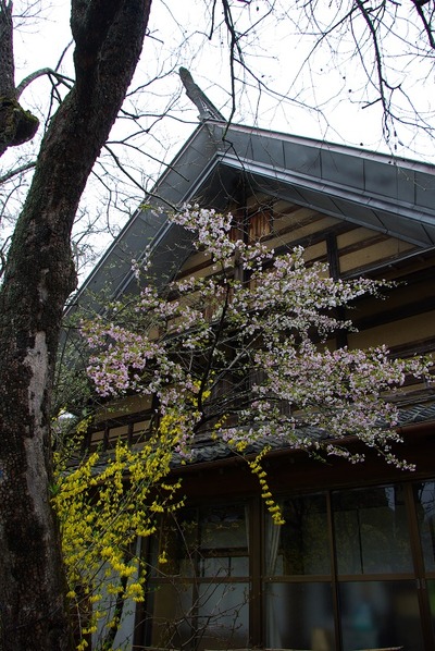 140420IMGP7009