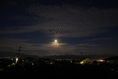 月180922s-IMGP8985