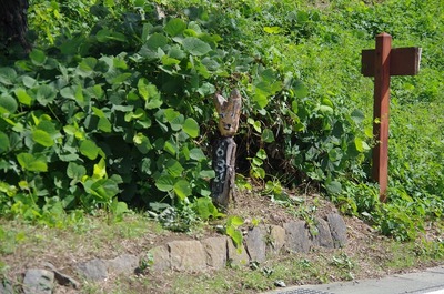 s-IMGP7087